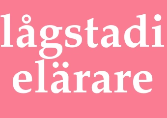 Synonym lågstadielärare
