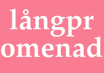 Synonym långpromenad