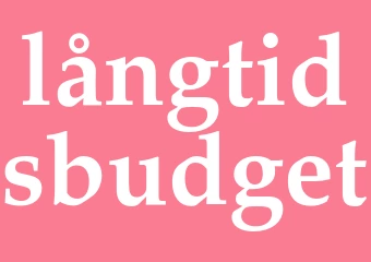 Synonym långtidsbudget