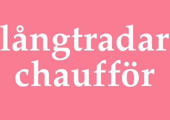 Synonym långtradarchaufför
