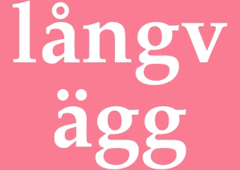 Synonym långvägg