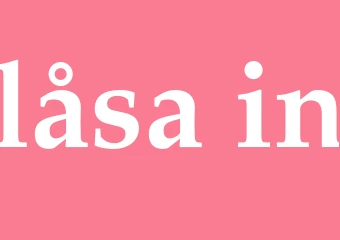 Synonym låsa in