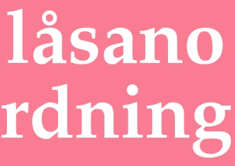 Synonym låsanordning