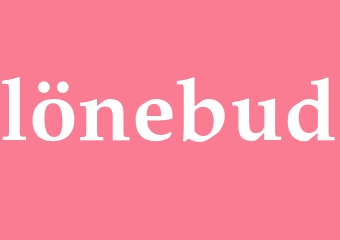 Synonym lönebud