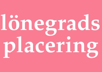Synonym lönegradsplacering