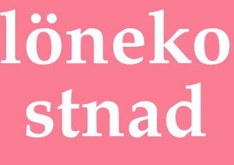 Synonym lönekostnad