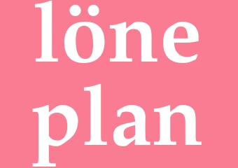 Synonym löneplan