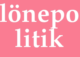 Synonym lönepolitik