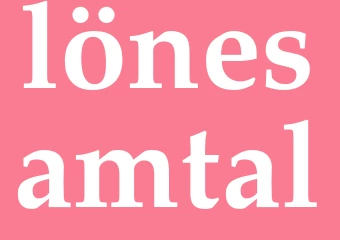 Synonym lönesamtal