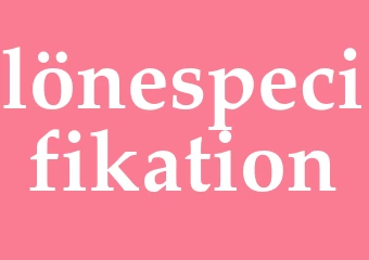 Synonym lönespecifikation
