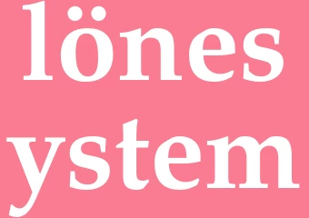 Synonym lönesystem