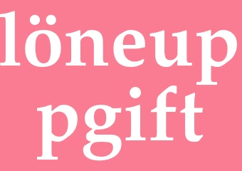 Synonym löneuppgift