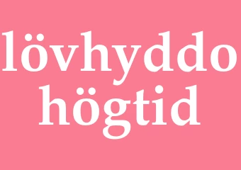 Synonym lövhyddohögtid