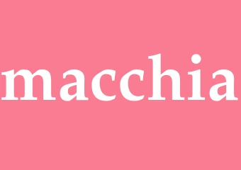 Synonym macchia