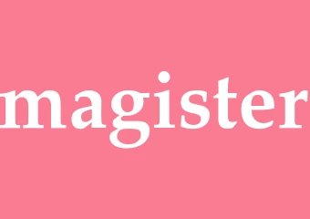 Synonym magister