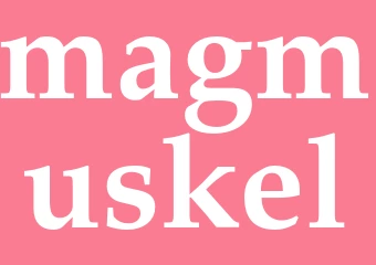 Synonym magmuskel