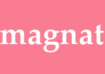 Synonym magnat