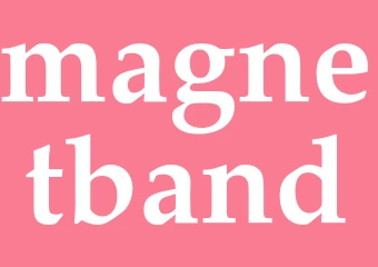 Synonym magnetband
