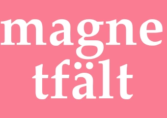 Synonym magnetfält