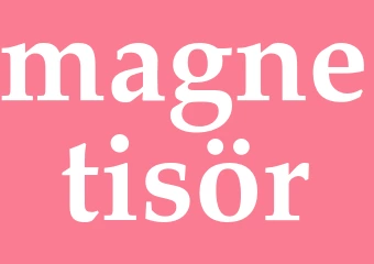 Synonym magnetisör
