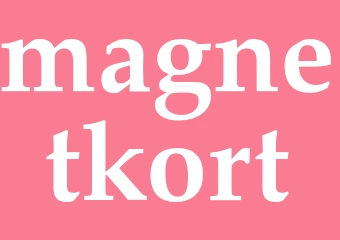 Synonym magnetkort