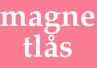 Synonym magnetlås