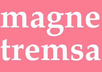 Synonym magnetremsa