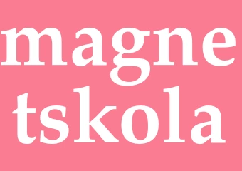 Synonym magnetskola