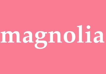 Synonym magnolia