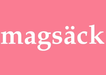 Synonym magsäck