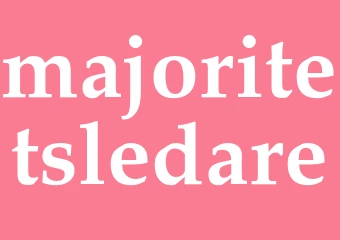 Synonym majoritetsledare
