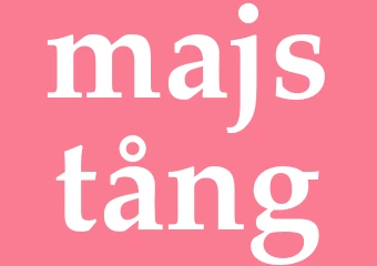 Synonym majstång