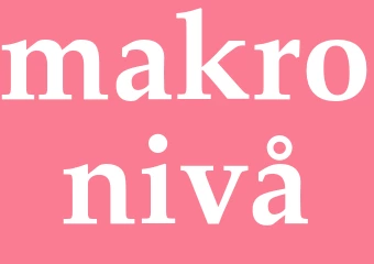Synonym makronivå