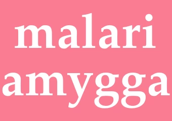 Synonym malariamygga
