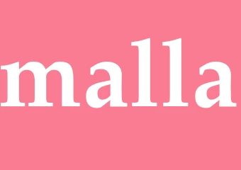 Synonym malla