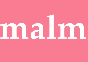Synonym malm