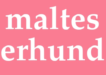Synonym malteserhund