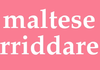 Synonym malteserriddare