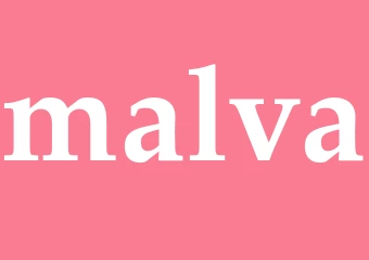 Synonym malva