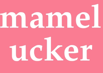Synonym mamelucker