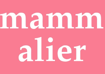 Synonym mammalier