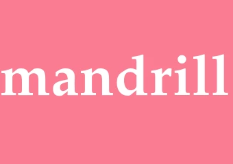 Synonym mandrill