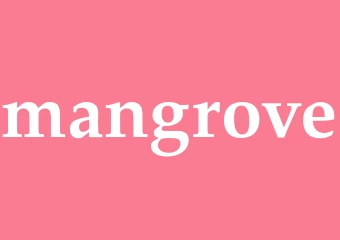 Synonym mangrove