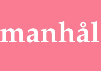 Synonym manhål