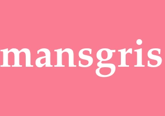 Synonym mansgris