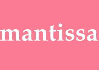 Synonym mantissa