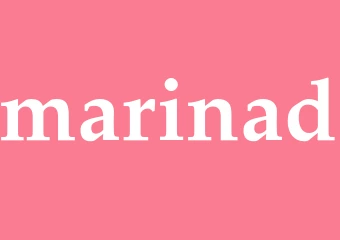Synonym marinad