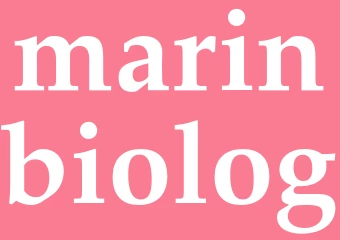 Synonym marinbiolog