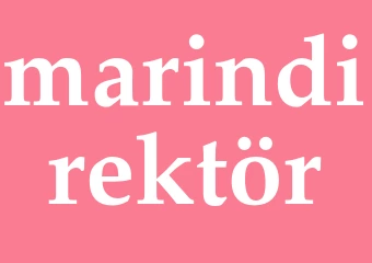 Synonym marindirektör