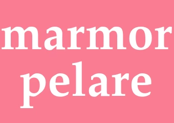 Synonym marmorpelare